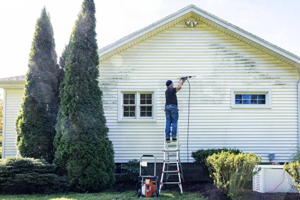 Best Gutter Cleaning  in Emory, TX